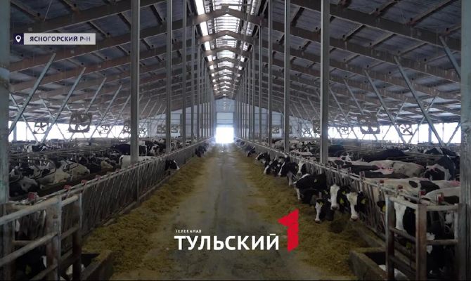 Фантомное молоко выпускали в Тульской области