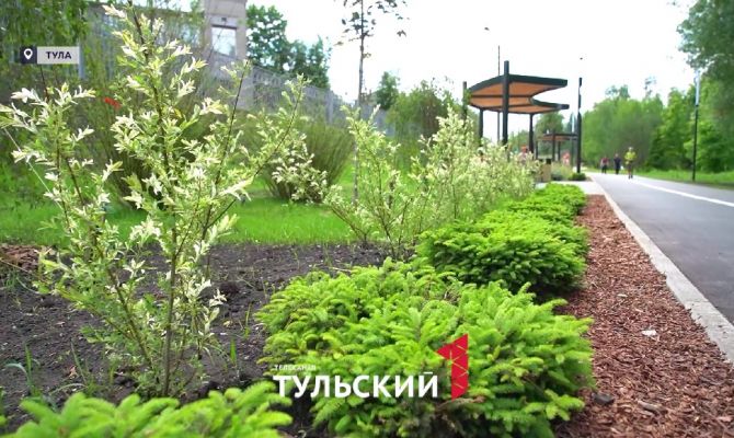 В Центральном парке Тулы открыли новую аллею