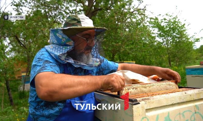 Тульский минсельхоз опроверг слухи о массовой гибели пчел из-за аномальной зимы