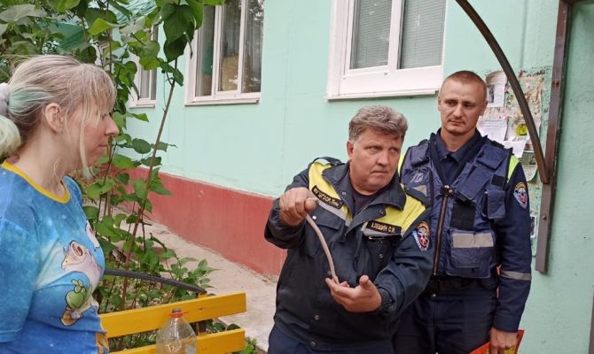 В Туле сбежавшая из террариума бычья змея вернулась к хозяину