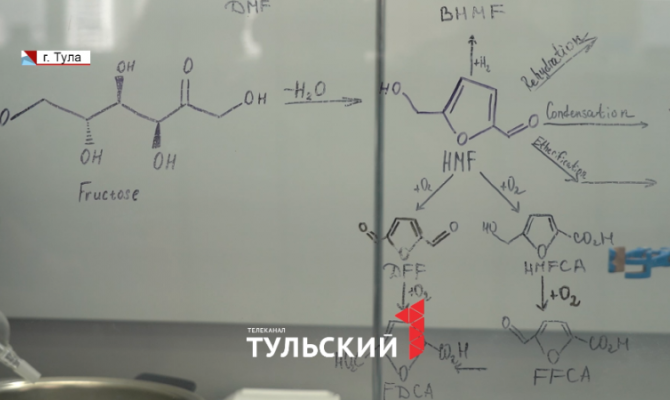 В Туле могут начать синтезировать полимеры для замены человеческих костей