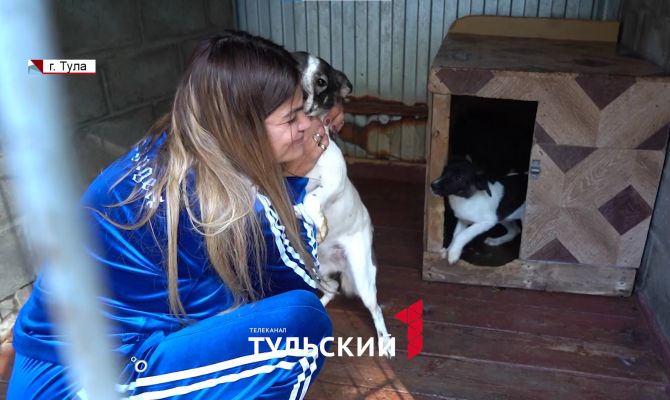 Тулячка на свои деньги открыла приют для брошенных животных