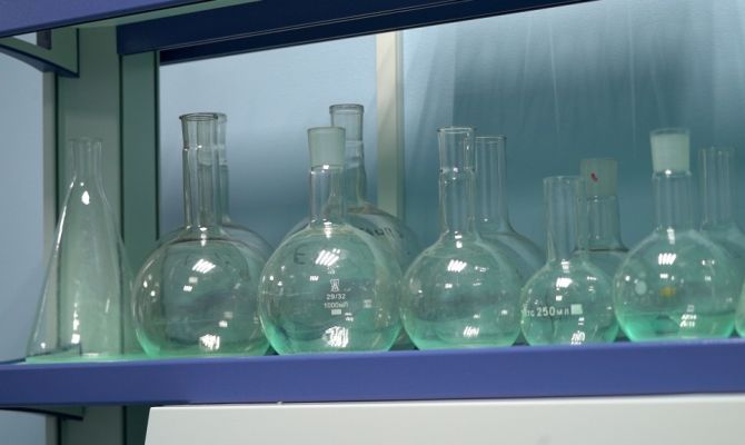 От грибов до шифров: 20 тульских ученых получили именные стипендии на свои проекты