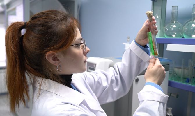 В Туле ученые создали долгодействующие антисептики и ускоряющие рост грибов микроорганизмы