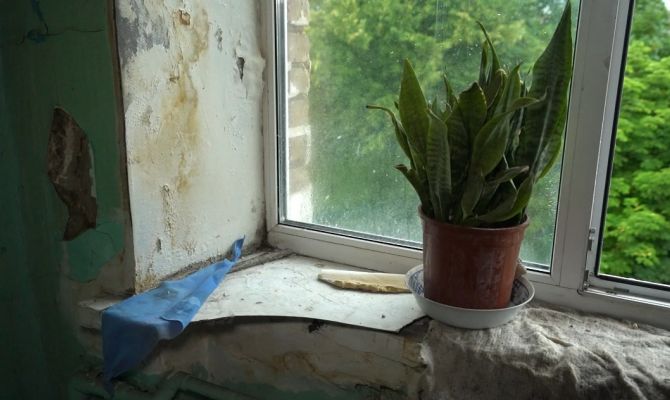 Из-за многомиллионного долга жильцов в Новомосковске заливает пятиэтажку