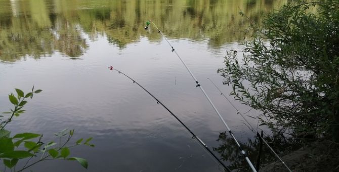 В Росрыболовстве рассказали о новых правилах любительской рыбалки 