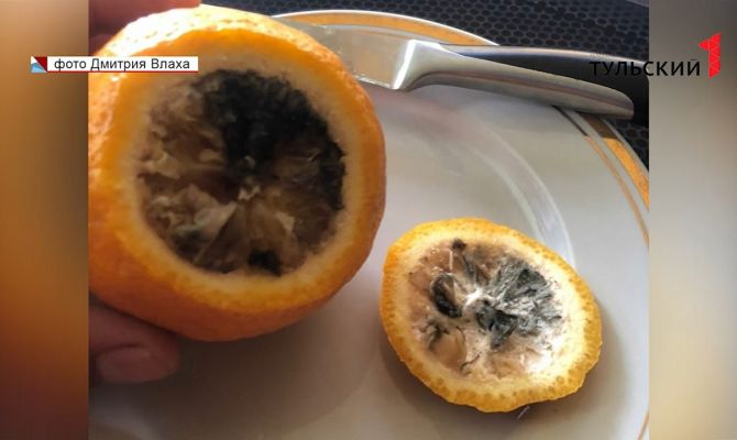 «Даже кот этого есть не станет»: в Туле после жалоб родителей проверяют питание в школах