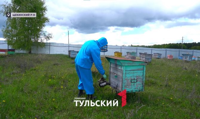 Ветераны СВО в Тульской области могут получить до 7 млн рублей на открытие фермы