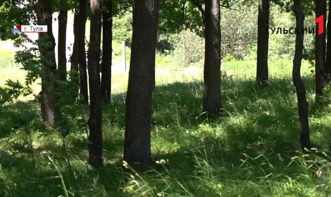 В поселке в Большой Туле вскрылась крупная афера с землей