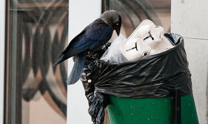 Портал «Открытый регион 71» помог решить тулякам почти 700 проблем