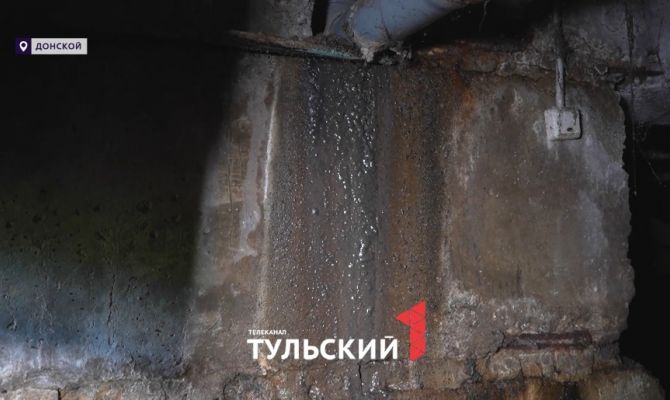 Крысы, мошки и черная плесень: в пятиэтажке в Донском на протяжении 10 лет течет подвал