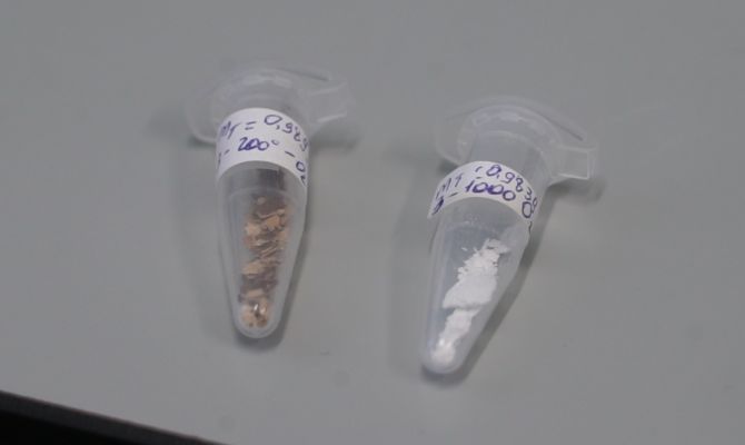 Тульские ученые нашли способ продлить срок службы промышленных биофильтров