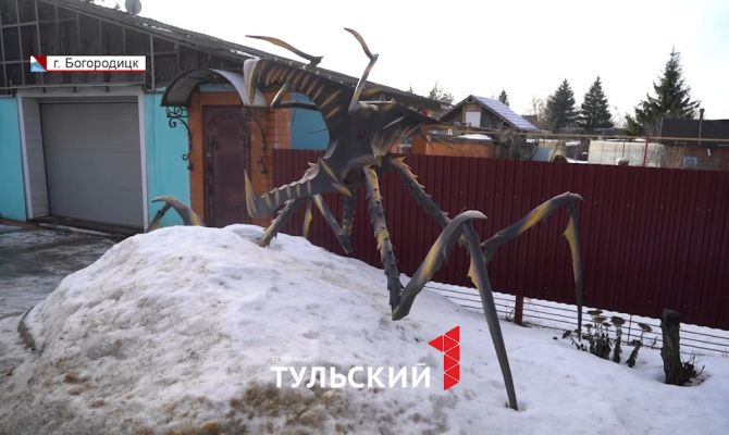 Жук из Богородицка попал в ТОП самых необычных арт-объектов России