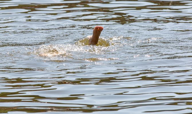 ​​​​​​​Летом 2022 года на водоёмах Тульской области погибло 33 человека