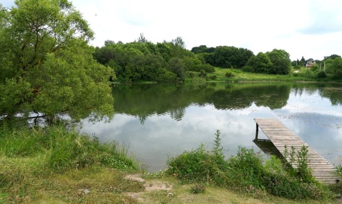 Под Тулой водоросли могли стать косвенной причиной гибели человека