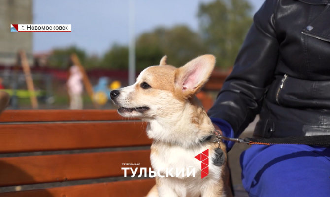 «Жилье и городская среда»: как в Тульской области благоустраивают малые города