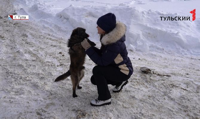 В Туле ищут хозяев бездомному щенку: от морозов он прятался в автобусе
