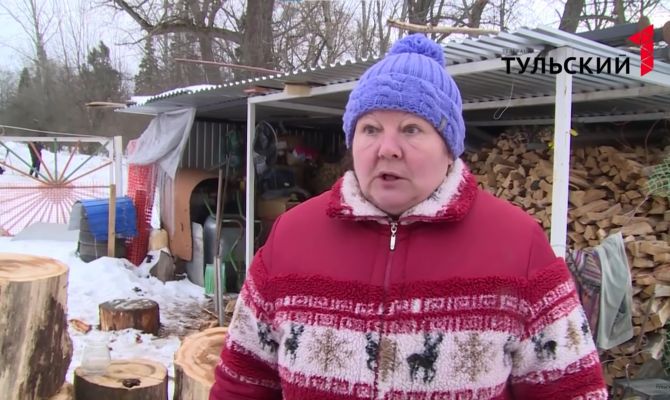 "Страшно, очень страшно": в Тульскую область могут вернуться снежные блохи