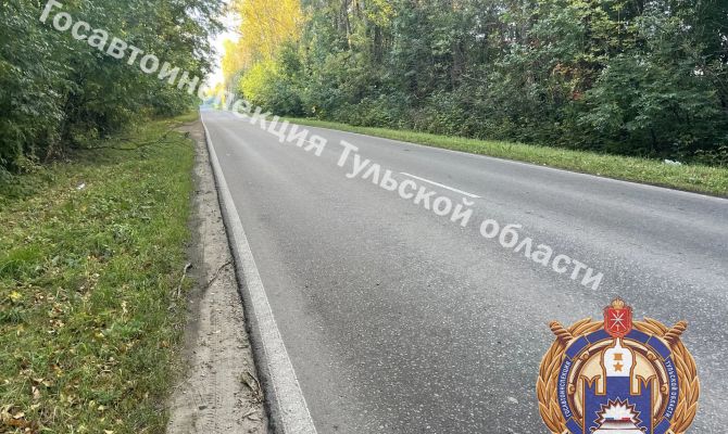 16-летний мальчик устроил ДТП под Узловой