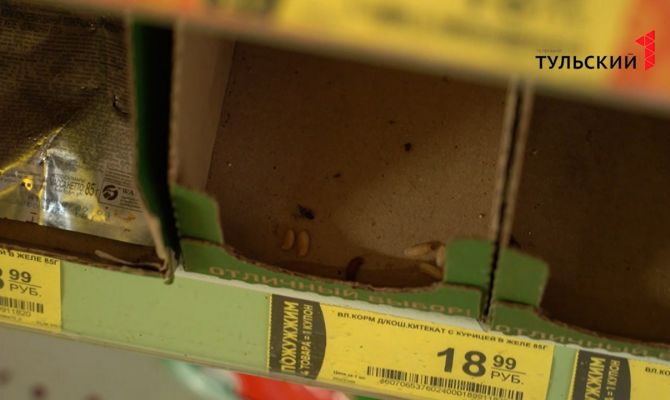 На проспекте Ленина в Туле прямо на полках магазина "Дикси" завелись опарыши