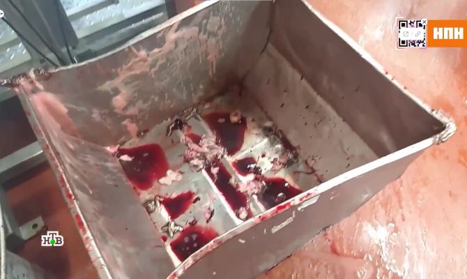 Голые руки и даты из будущего: как делают колбасу на мясокомбинате "ПХ Лазаревское"