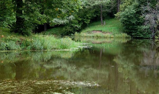 Тульский экзотариум приглашает на квест