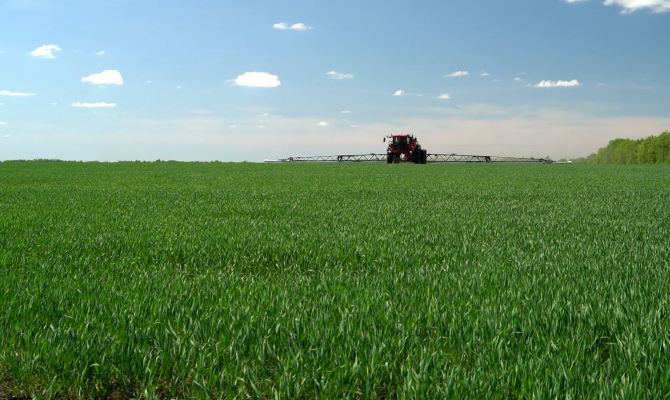 Как погодные аномалии могут повлиять на урожай зерна в Тульской области