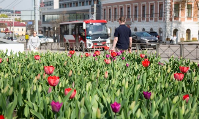 В Туле 21 мая температура воздуха поднимется до 22 градусов тепла