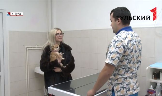 В Туле проходит месячник льготной стерилизации животных