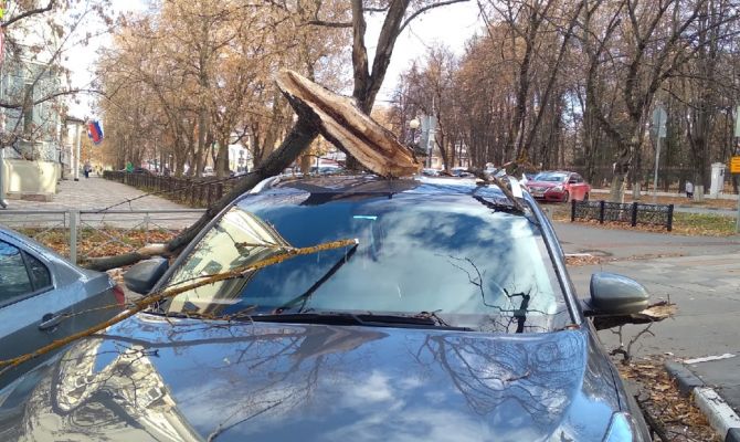 В центре Тулы сухое дерево упало на припаркованный автомобиль
