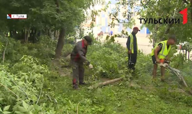 Порядок во дворах: в чьи обязанности входит уборка после шторма