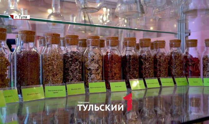 Эксперт назвала растение, которое увеличивает эффективность лекарств на 40%