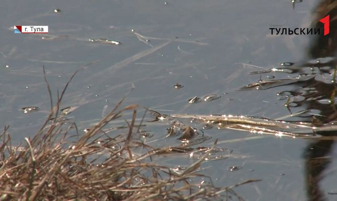 Тула готовится к паводку: кто в зоне риска