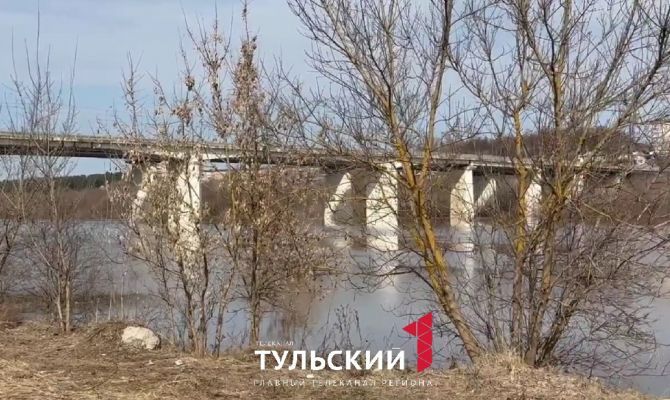 18 мостов может затопить этой весной в Тульской области