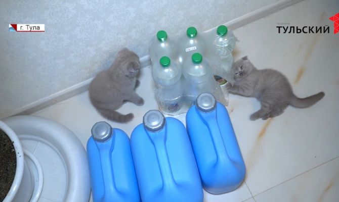 В течение трех лет семья туляков платила за воду самопровозглашенному собственнику труб