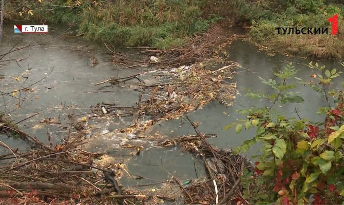 В Туле на Воронке бобры устроили полуметровую плотину и водопад