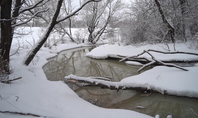 По реке под Тулой потекла мутная жижа: прокуратура начала проверку