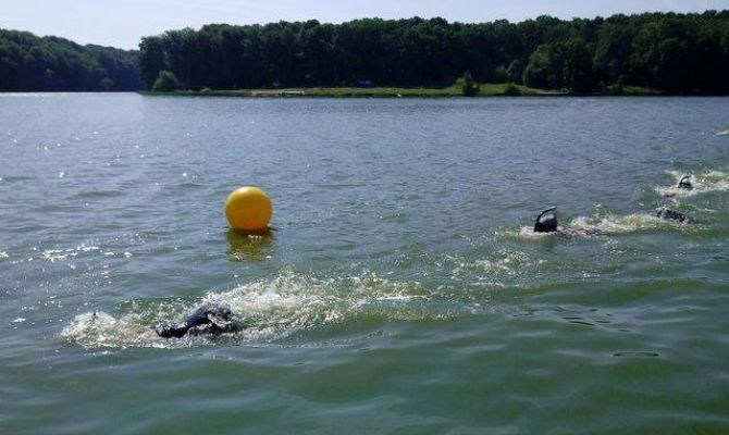 Тульские пловцы завоевали три медали на первенстве России