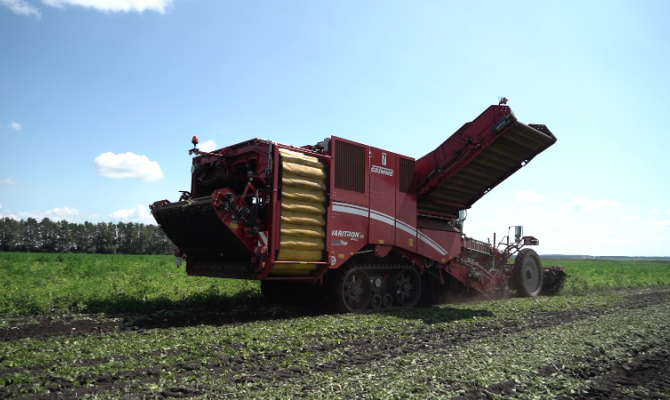 Тульские фермеры дали прогноз на урожай картошки в 2023 году