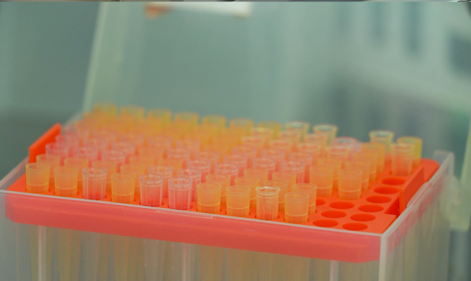 Туляки создали способ продления жизни биофильтров для очистки стоков