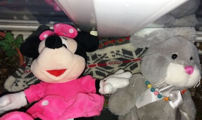 В Богородицке безработный ранее судимый мужчина украл из магазина детские игрушки