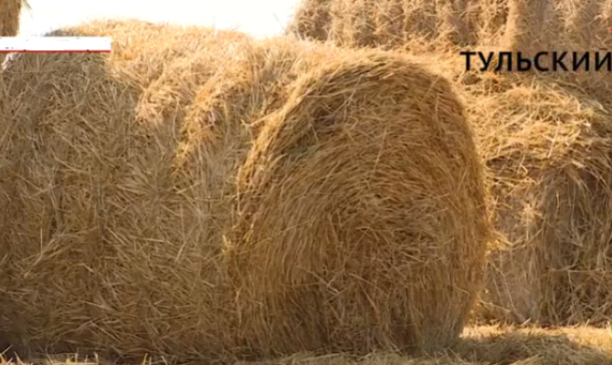 Правительство России выделило 41,5 млрд рублей на развитие сельского хозяйства