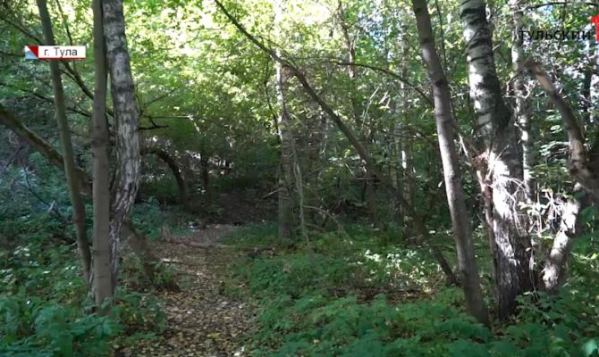 Как в Плавске восстановят Гагаринский парк