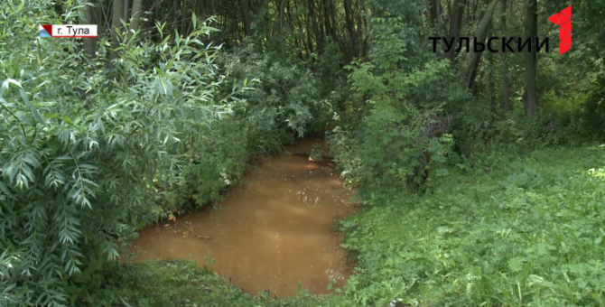 Под Тулой пруд и ручей снова окрасились в оранжевый цвет