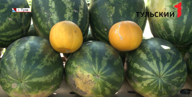 Чем опасны ягоды, купленные у непроверенных продавцов в Туле