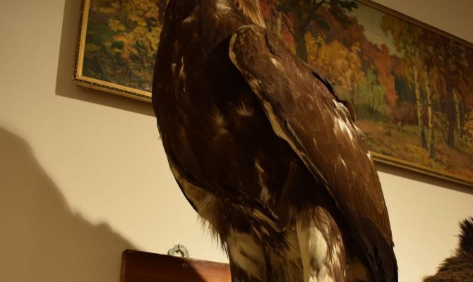 Туляков приглашают на выставку «Взгляните на нас еще раз!»