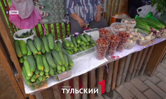 Как тулякам спасти урожай в период затяжных дождей