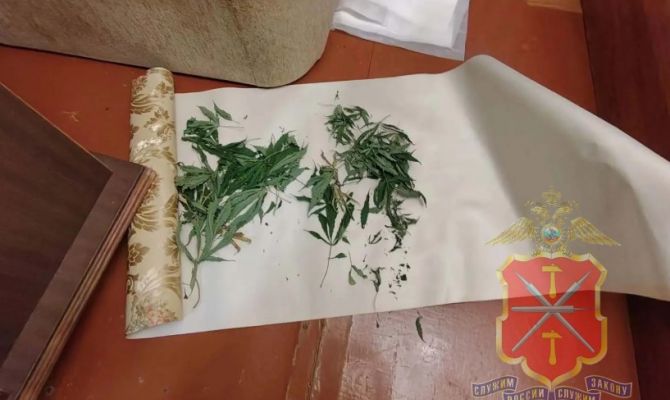 Полиция нашла у жителя Заокского района почти 900 граммов марихуаны