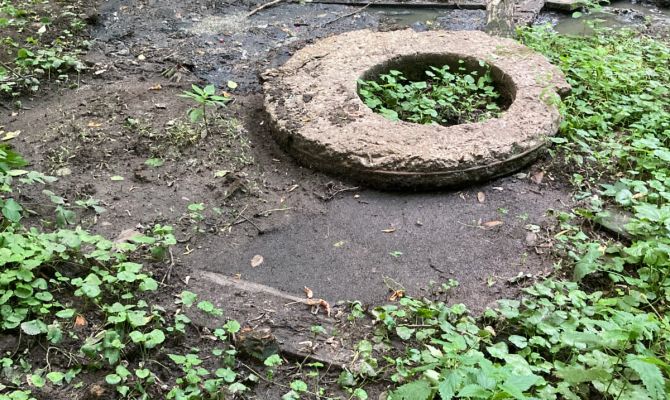 Карачевский лес в Кимовске затапливают сточные воды