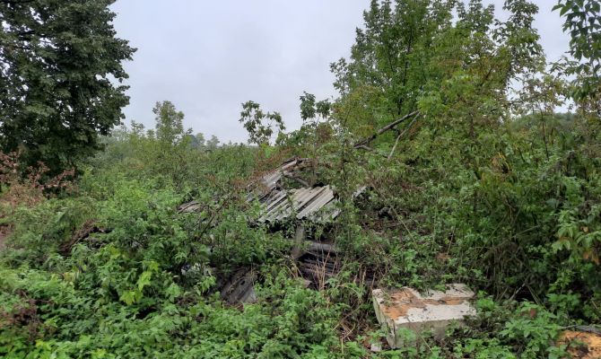 В Плавском районе прокуратура обнаружила несанкционированную свалку